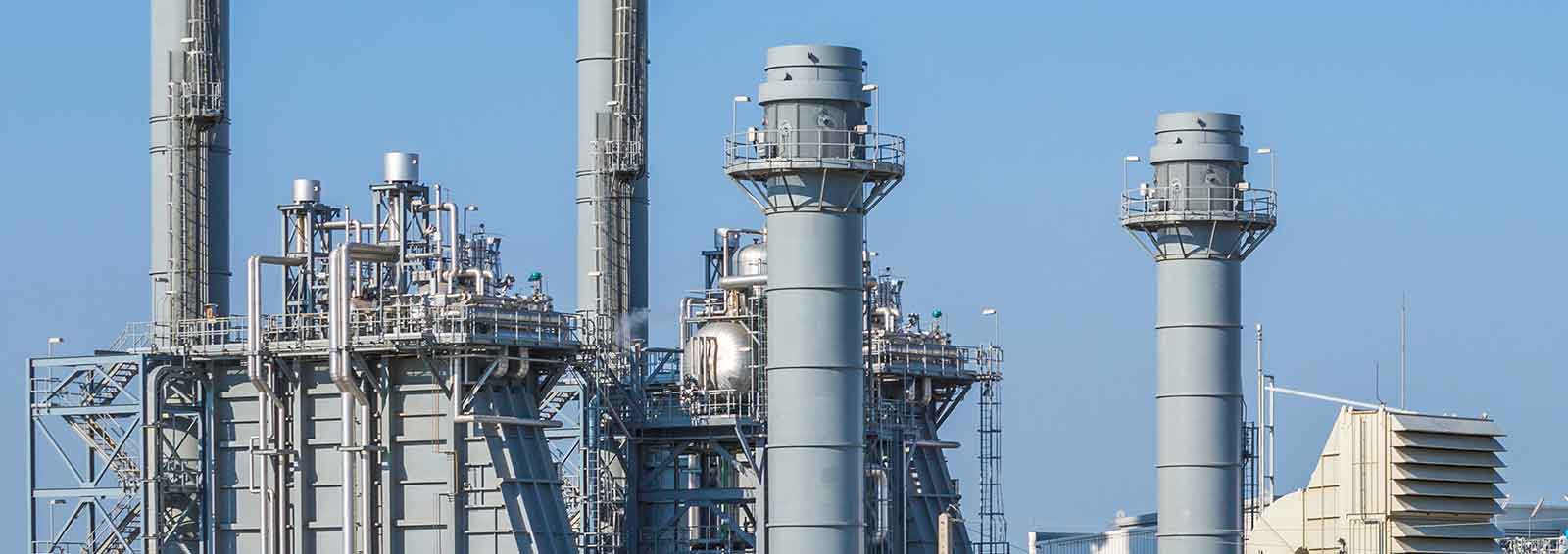 Stop the Gas-Fired Power Plant